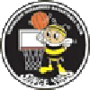 https://img.iesound.com/img/basketball/team/e416830f4083698237c559f8988ddb25.png